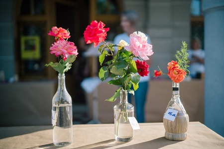 Zmagovalna je prva z leve